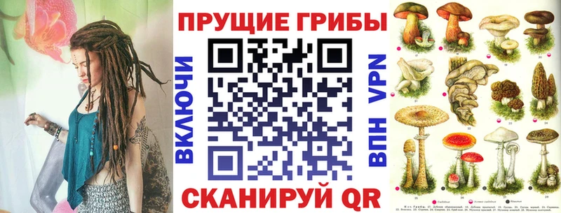 что такое   OMG ТОР  Псилоцибиновые грибы Cubensis  Афипский 